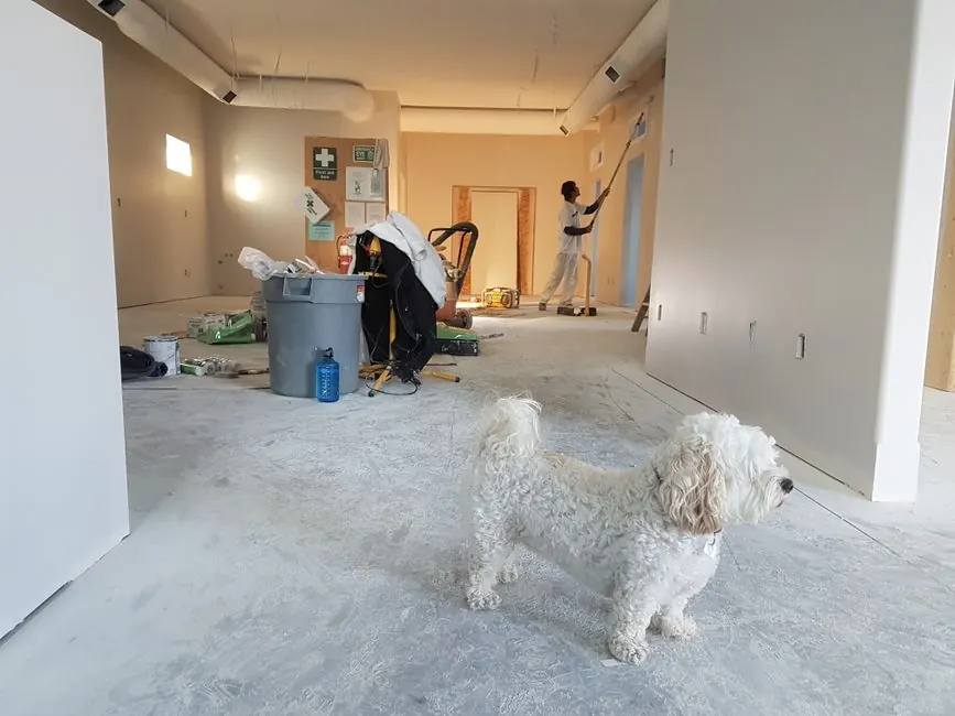 Our Expertise in Basement Conversions